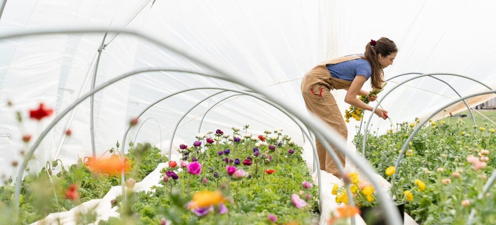 Mehr über den Artikel erfahren FREIWILLIG JA – das Portal für Freiwillige in Deutschland